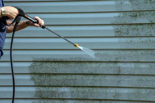 Best Roof Cleaning and Mildew Removal in South Gate, CA